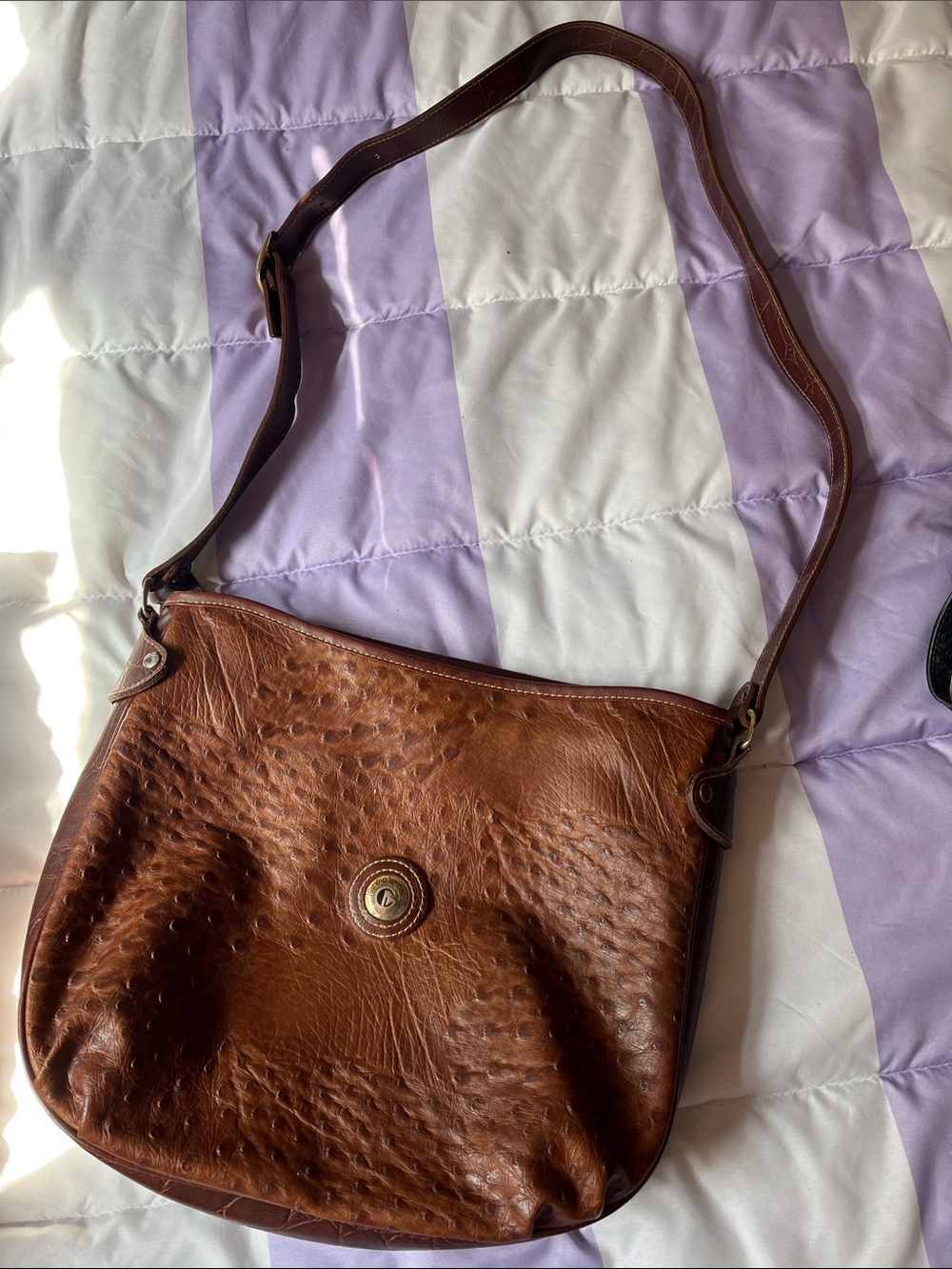 Carryland Crossbody Purse Bag